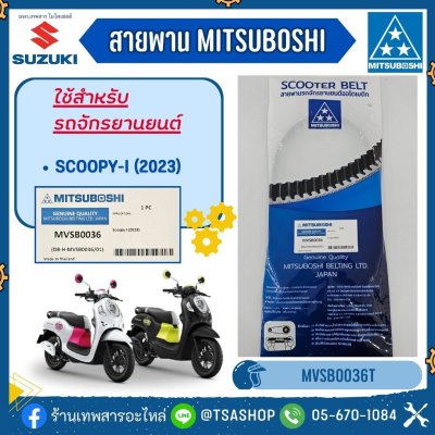 MVSB0036T